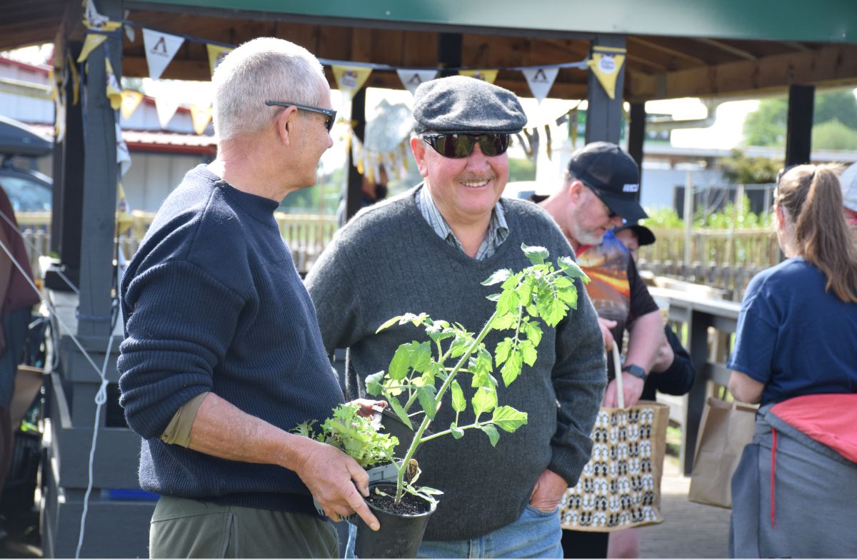 Farmers Market 1