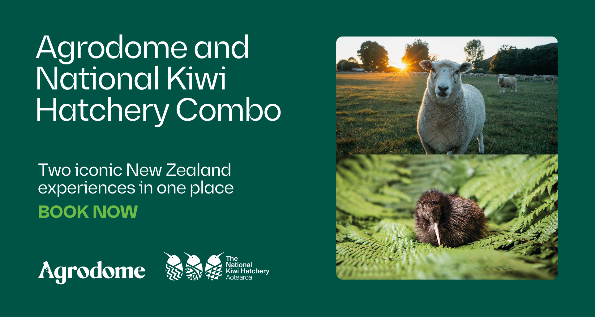 AGD NKH COMBO WEBSITE 1924x1024 GREEN