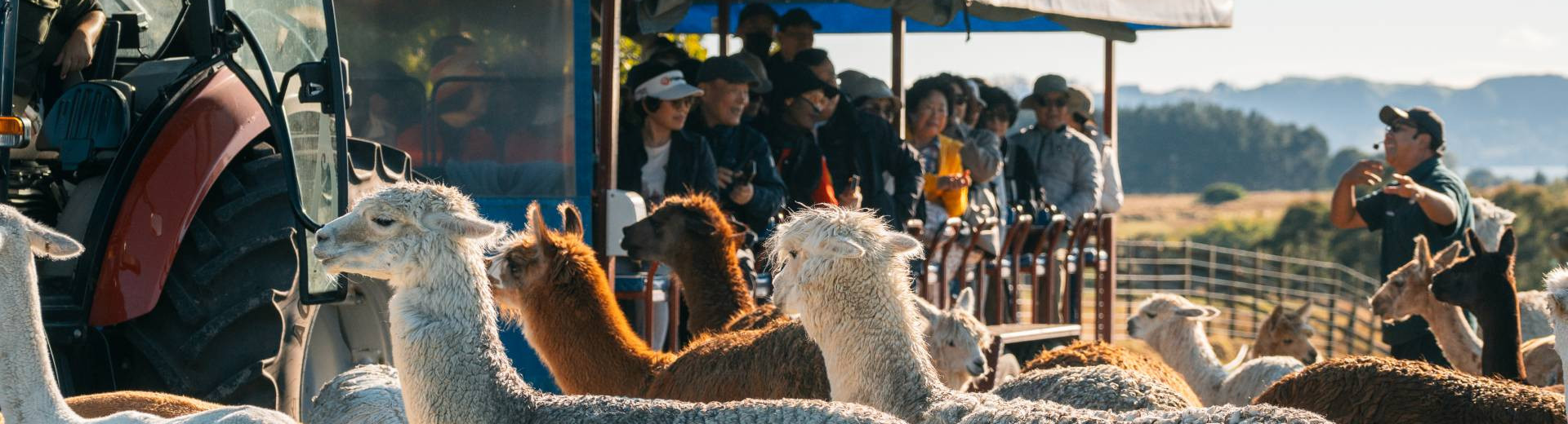 Agrodome 2 1920x1080