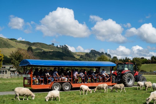 Agrodome - A History