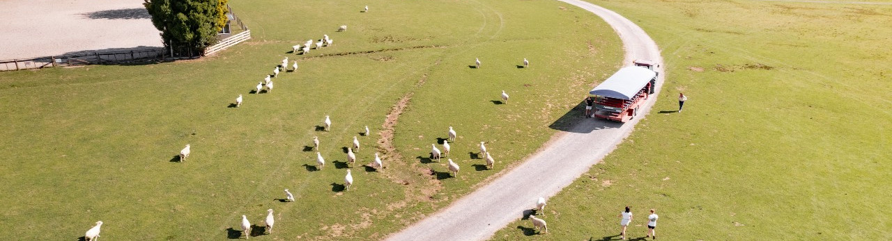 AgrodomeKiwixRoady3 low res