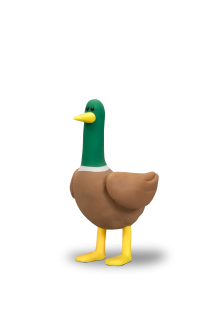 Duck manually resized