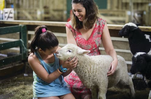 farmyard nursery v2