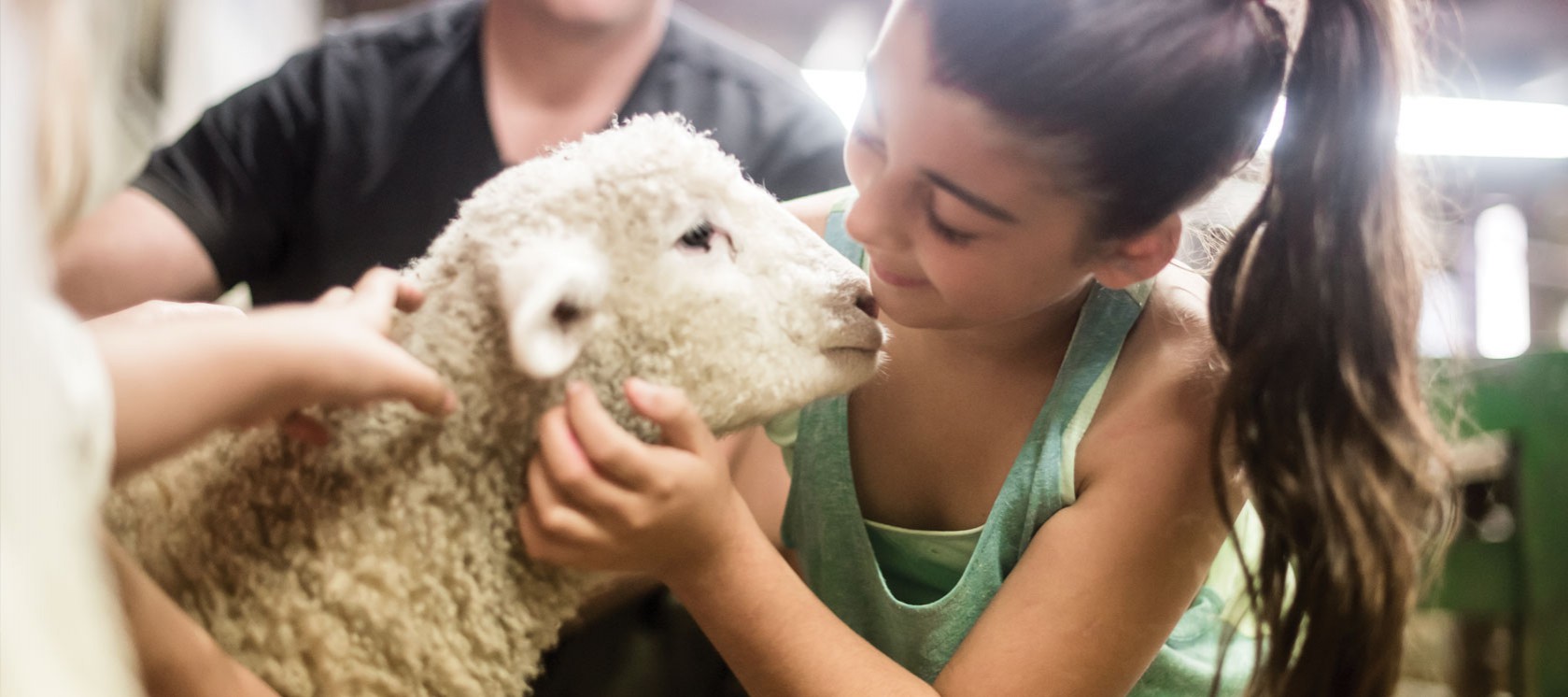 farmyard nursery