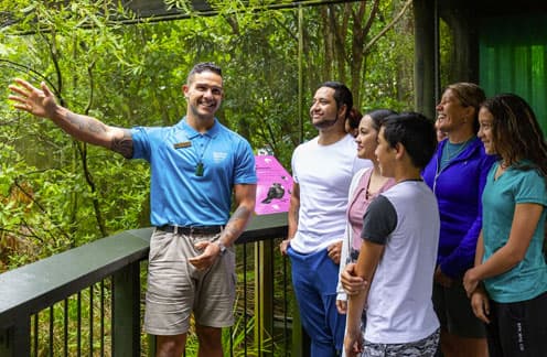 rainbow guided tour