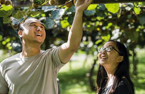 visit the orchard